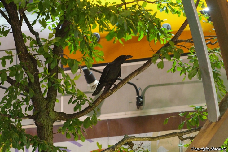 batch_IMGP55210826 (60).jpg