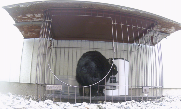 スクリーンショット 2025-08-31 13.46.07.png