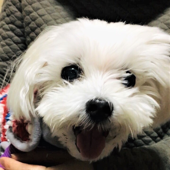 1603897939019 - コピー.jpg