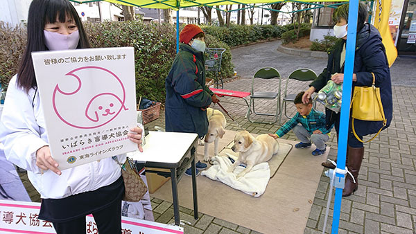 募金活動の様子、その３