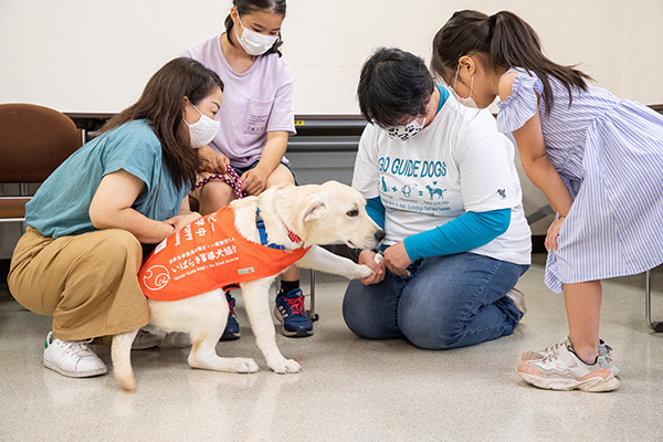 仔犬の飼育指導の様子