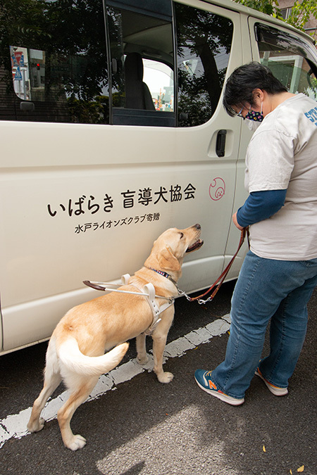 ハイエースと盲導犬、その１