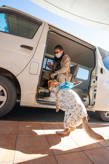 ハイエースと盲導犬、その３