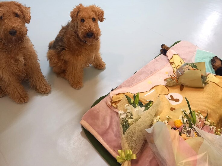 328361623_1806735849698530_2419659259701419904_n - コピー.jpg