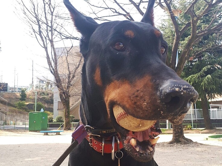 20180303_110610 - コピー.jpg