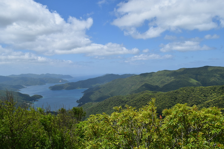 湯湾岳から臨む焼内湾