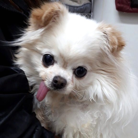 20200307_174143 - コピー.jpg