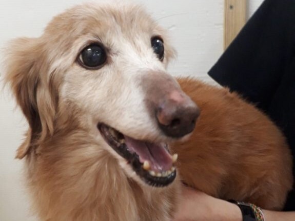 20200621_113542 - コピー.jpg