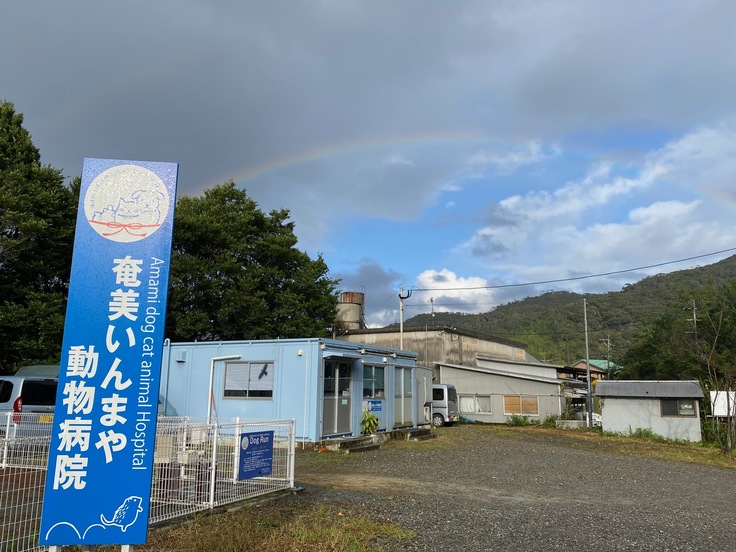 奄美いんまや動物病院の外観