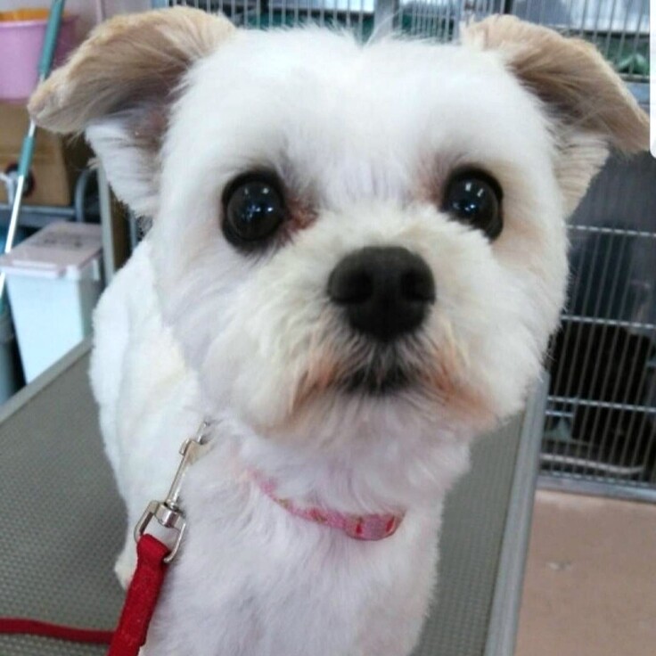 544806354_1466901947990116_1364282694534675432_n - コピー.jpg