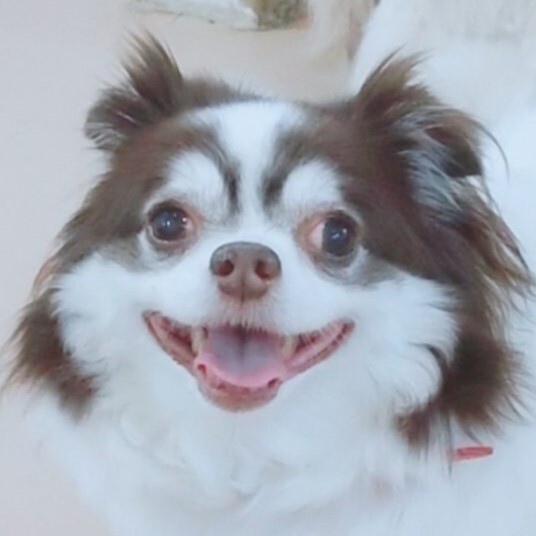 Collage-2021-02-04-15_03_46 - コピー.jpg