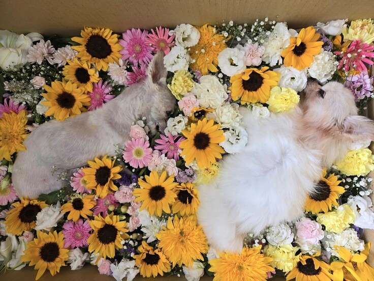 545844171_1467800607900250_7318246802372118947_n - コピー.jpg