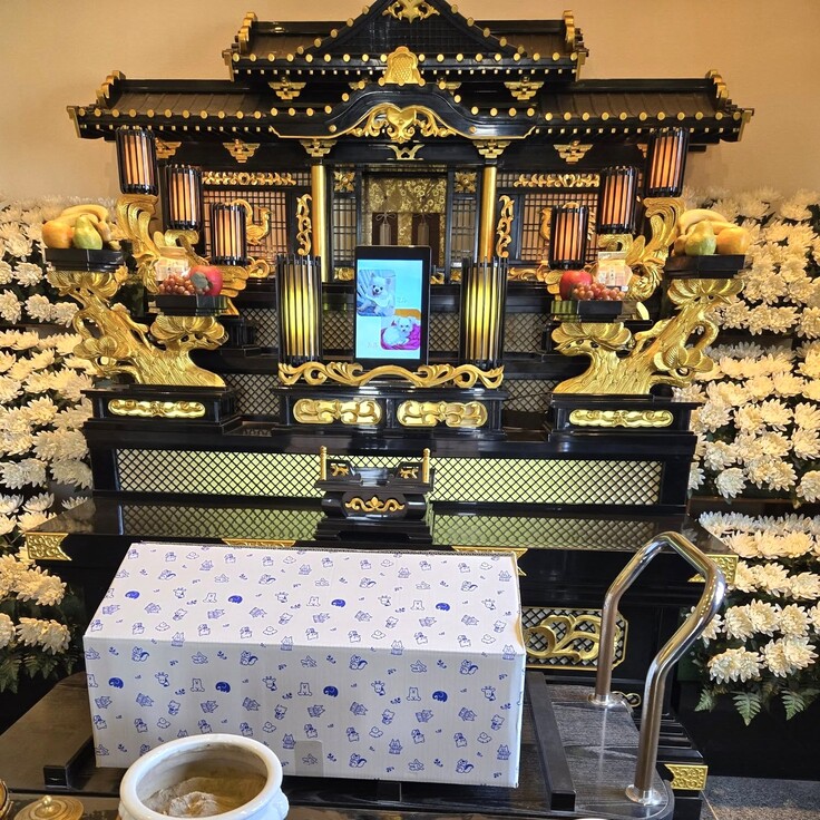 545609873_1467800681233576_7894589078167940015_n - コピー.jpg