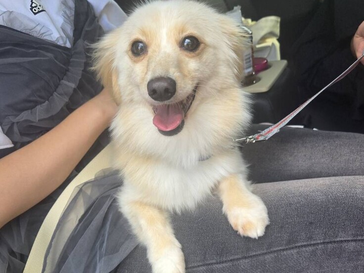 用事があったのでついでに連れて行きました