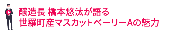世羅ワイナリー醸造長　橋本悠汰