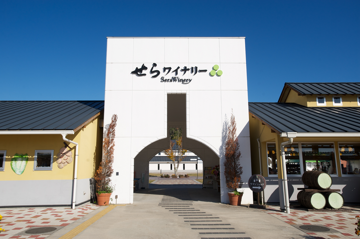 せらワイナリー