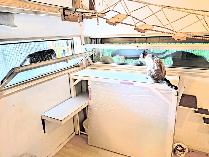 2つの窓から出窓に出れます