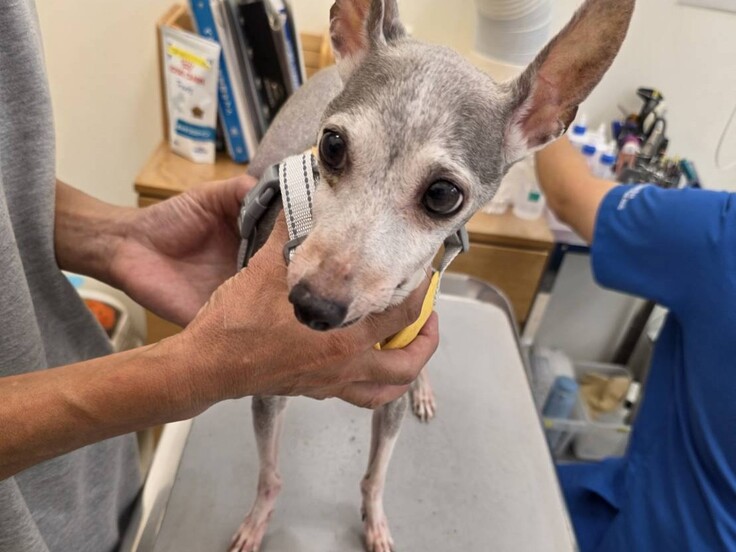 548214477_1474986193848358_2406554229733347083_n - コピー.jpg