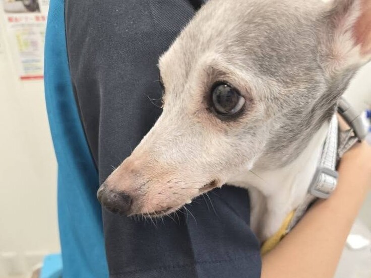 549553546_1474986227181688_6462723709822219250_n - コピー.jpg