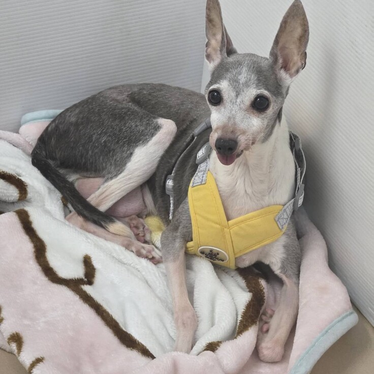 548193976_1474986270515017_433566245781000778_n - コピー.jpg