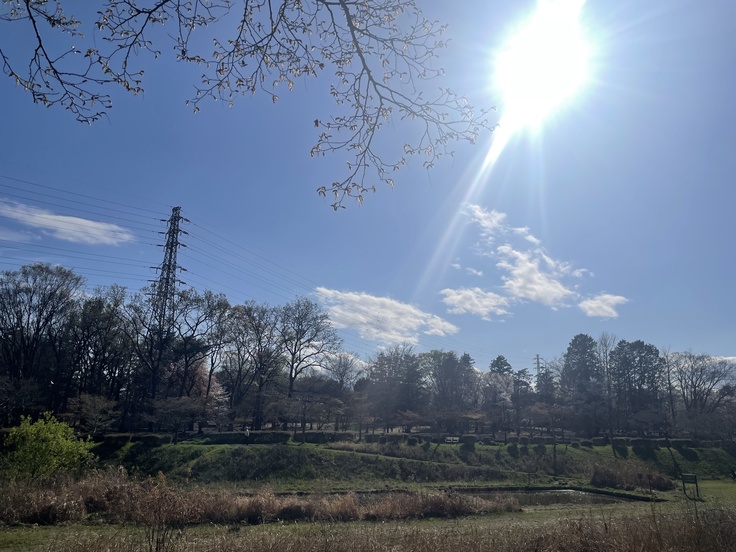 都市計画道路3.4.11号線の予定地