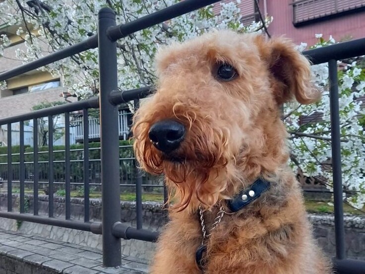 20210322_180001 - コピー.jpg