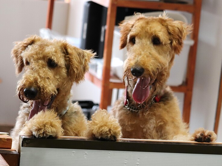 IMG_4747 - コピー - コピー.JPG