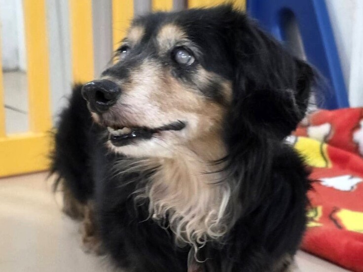 173700 - コピー.jpg