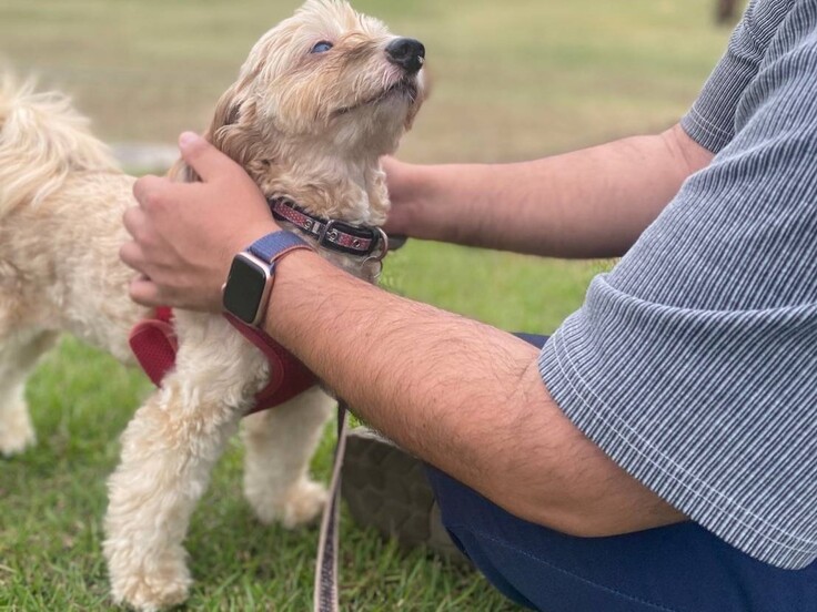 88966_0 - コピー.jpg