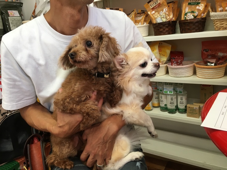 IMG_6457 2019-10-02 18_56_36.JPG