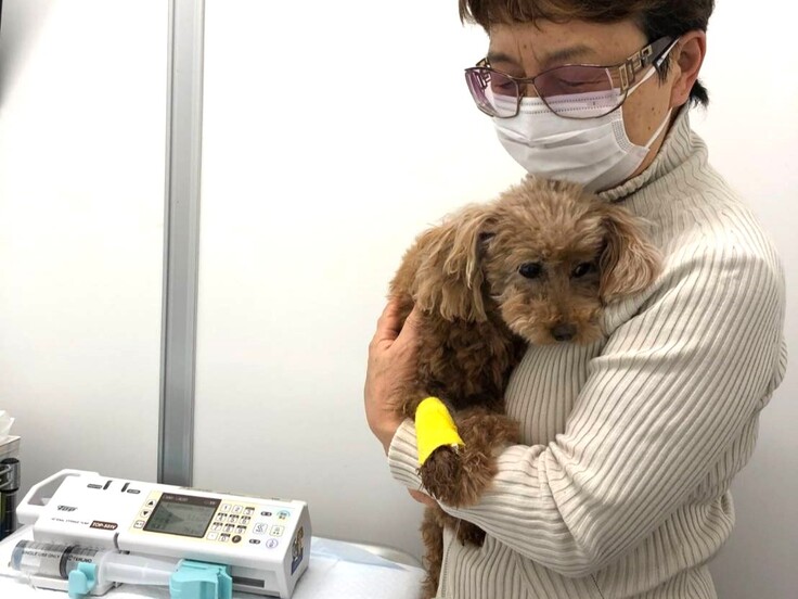 33422 - コピー.jpg