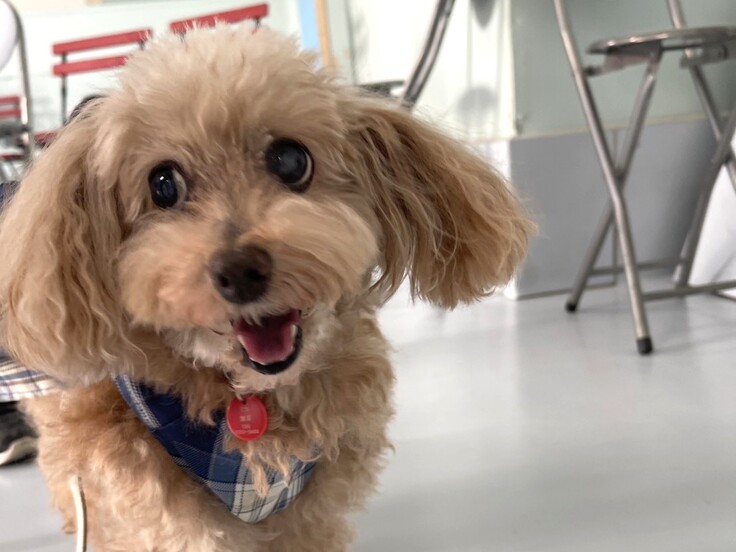 S__39370838_0 - コピー.jpg