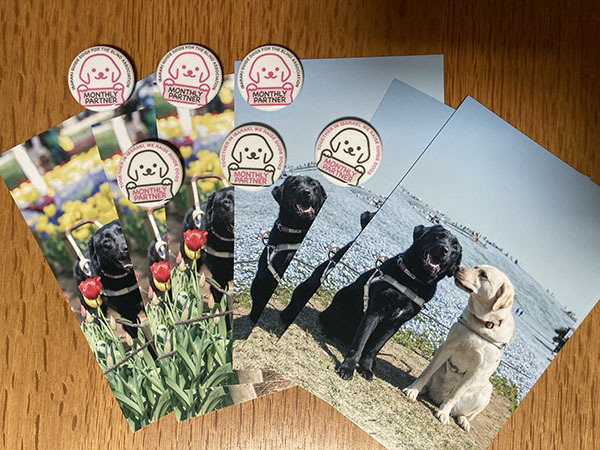 お礼状とマグネットを並べた写真