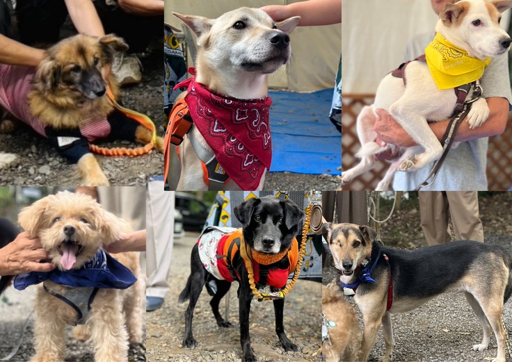 名称_未_設定 (2).jpeg