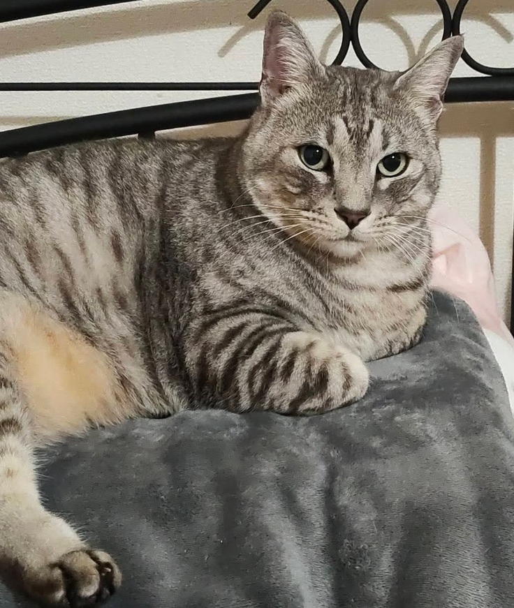 鼻腔内リンパ腫発症前、２０２４年２月の写真です