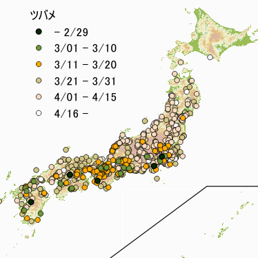 ツバメ前線2025-1