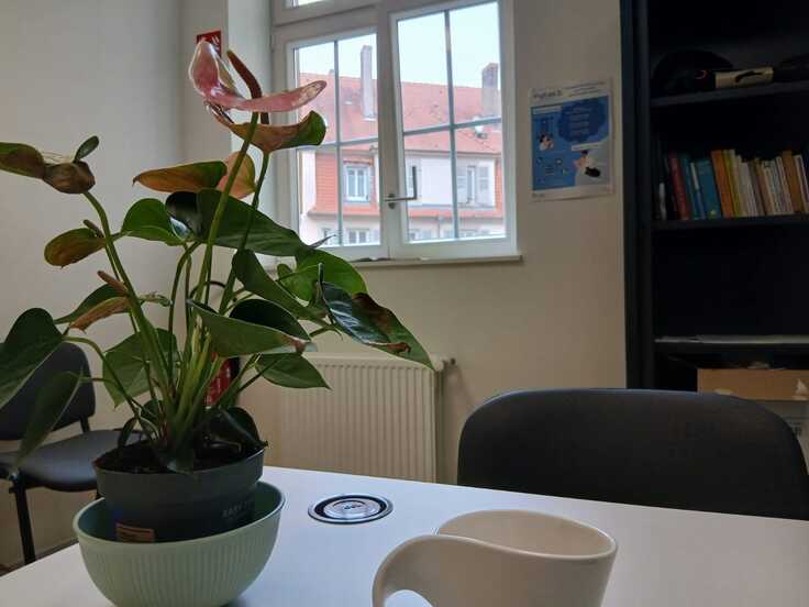 研究室からの眺め