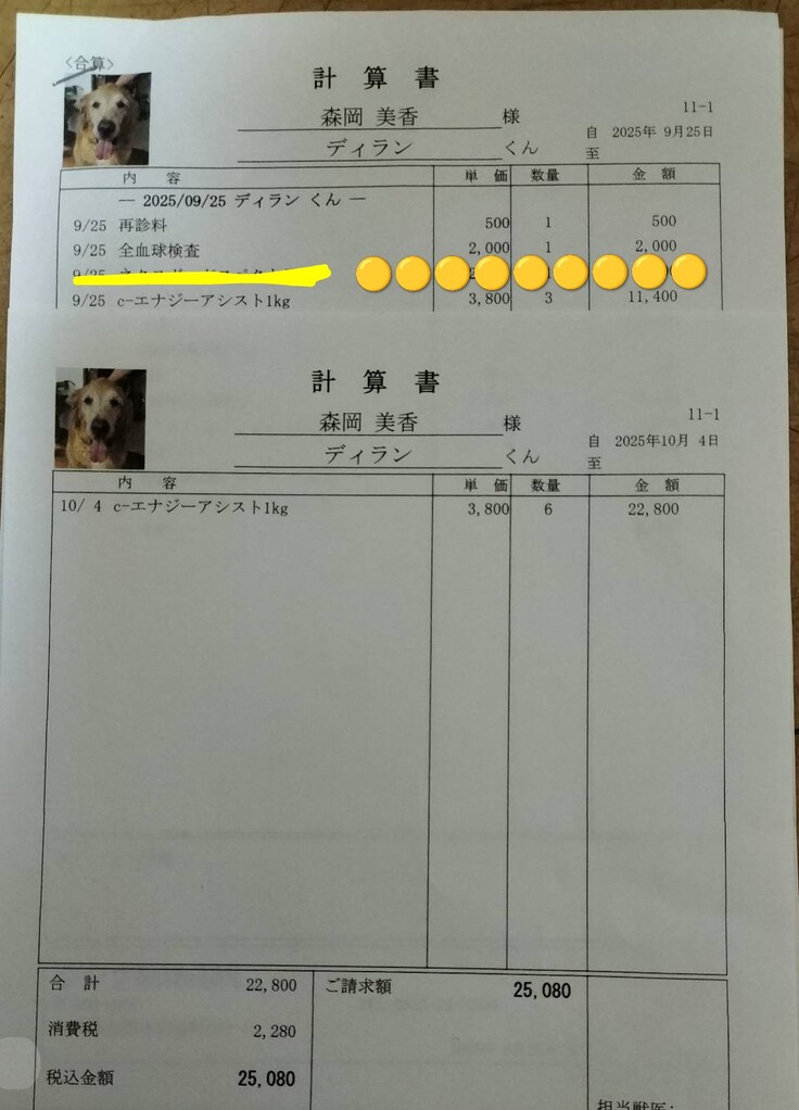 癌用フード1週間分の領収証