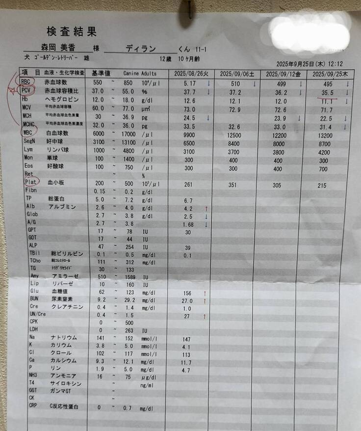 血液検査結果