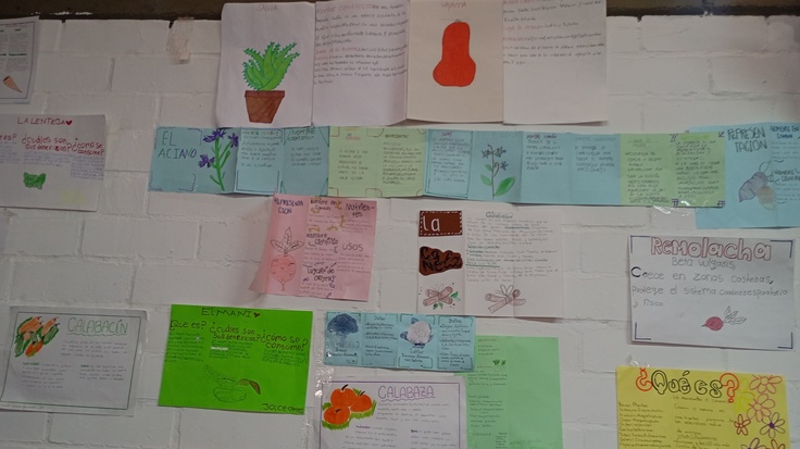 公立小学校で,この図鑑を使った授業の様子