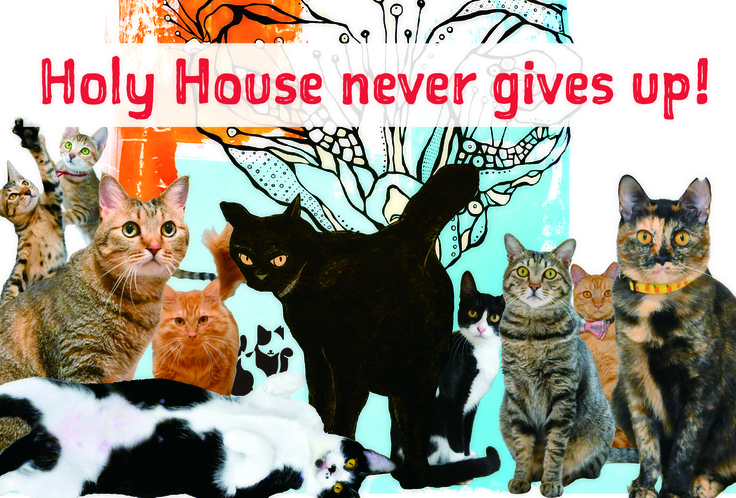 猫たちとともに、くじけず進みます！