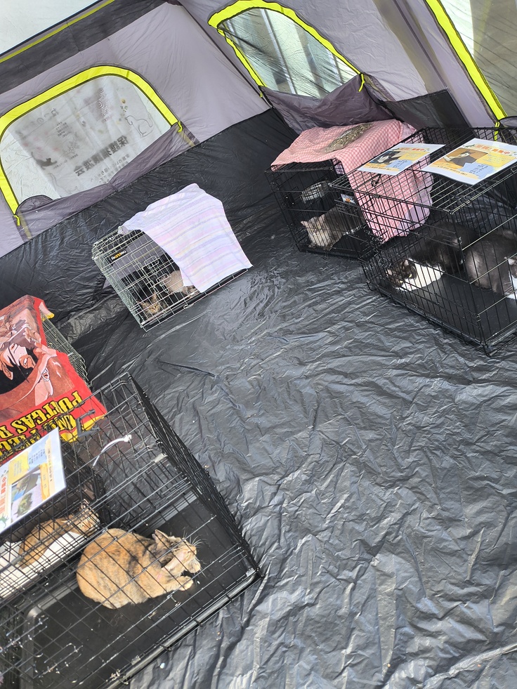 日陰だったので助かりました