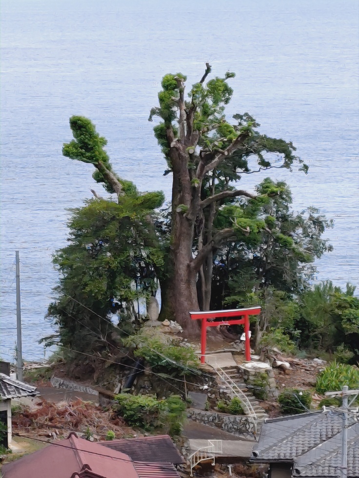鳥居の倒壊前の徐福の宮