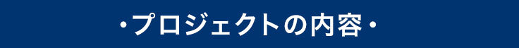 プロジェクトの内容