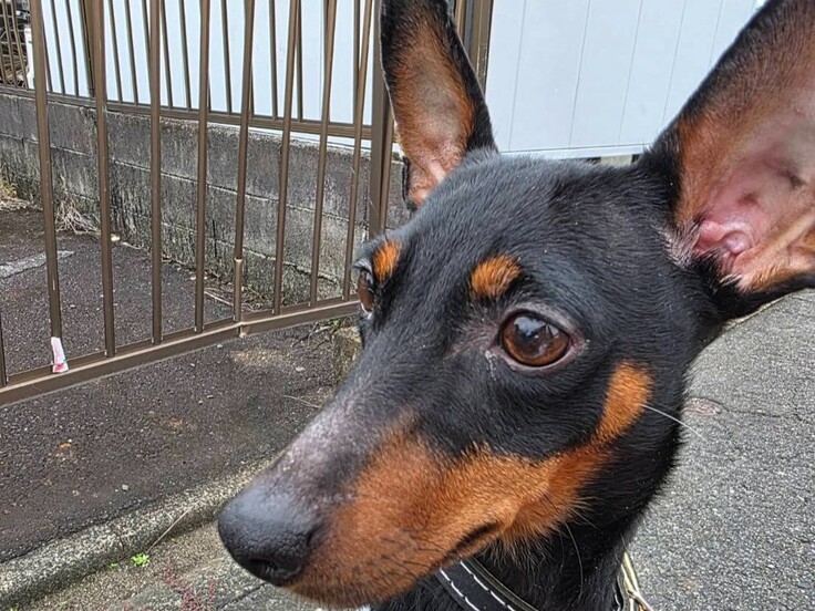 565275936_1503469314333379_81278 - コピー.jpg