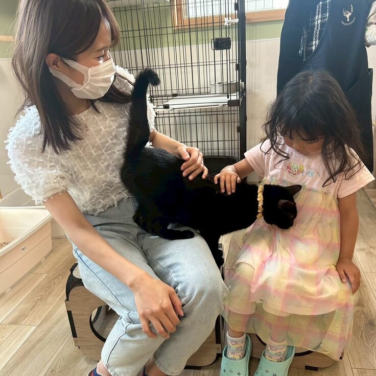 一般入場の様子