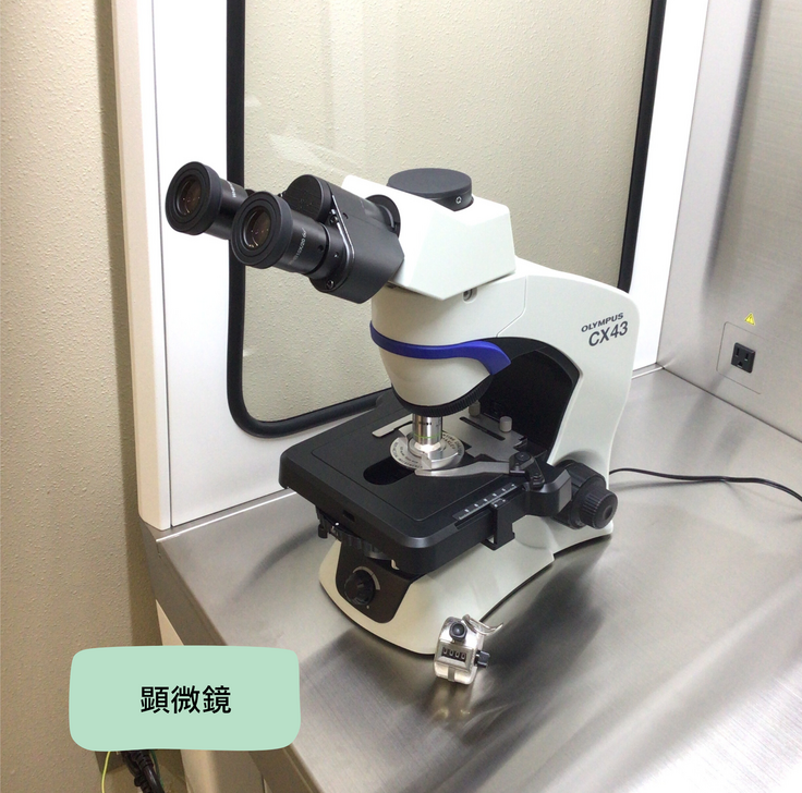 顕微鏡 (1).png