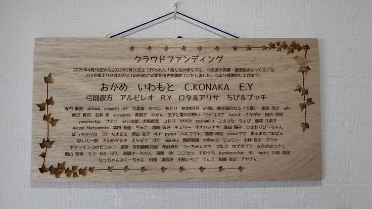 img_v3_02pl_282842d1-6a63-4dd0-bd62-8e6ff81cd8ix (002).JPG