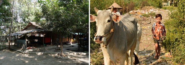 病院周辺の村の様子