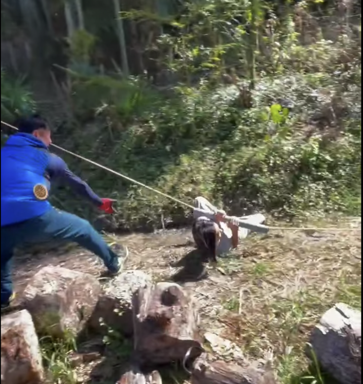 スクリーンショット 2025-11-04 22.14.04.png